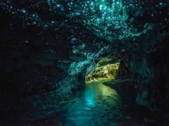 12851496045 7a88671724 o 240x180 - Waitomo Caves - Ruakuri