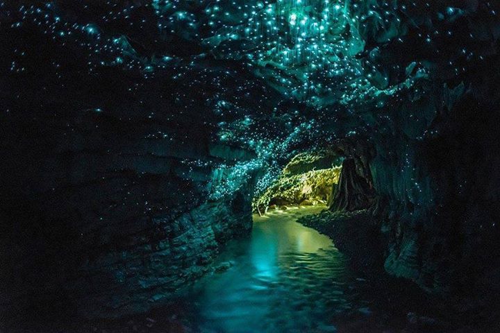 12851496045 7a88671724 o - Waitomo Caves - Ruakuri