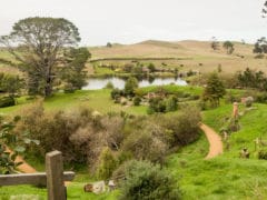 18001638310 a1f1379e47 o 240x180 - Hobbiton Tours