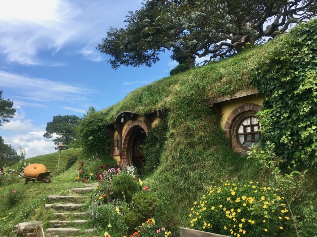 25052775538 01c3deb2a6 o 1024x768 - Hobbiton Tours