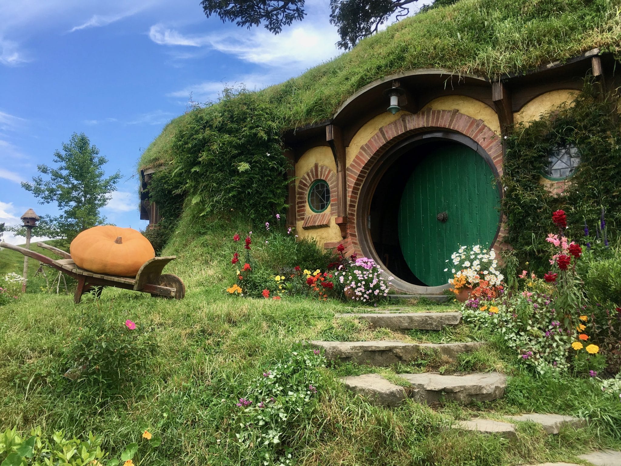 hobbiton tours promo code