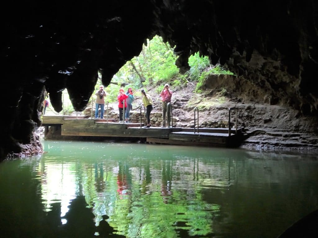 44175095770 76ed9a10a4 o 1024x768 - Waitomo Caves - Ruakuri