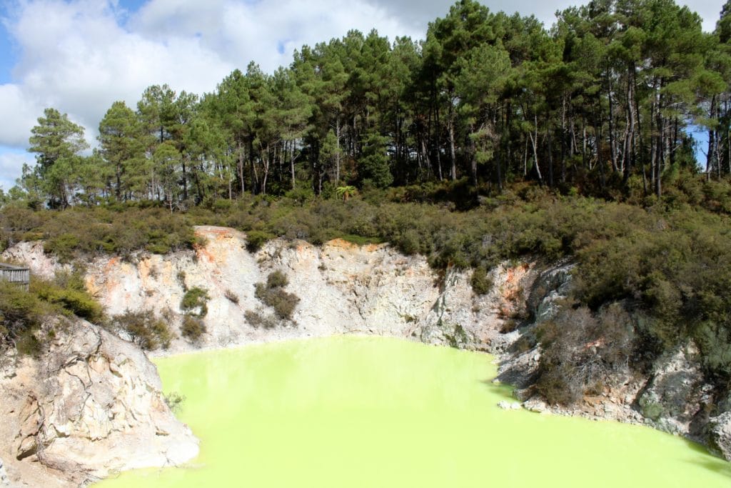 6193250529 e5d0a2e8ab o 1024x683 - Wai O Tapu Thermal Wonderland