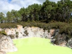 6193250529 e5d0a2e8ab o 240x180 - Wai O Tapu Thermal Wonderland