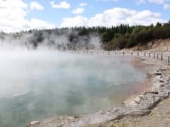 6193259841 fa8762d4bd o 240x180 - Wai O Tapu Thermal Wonderland