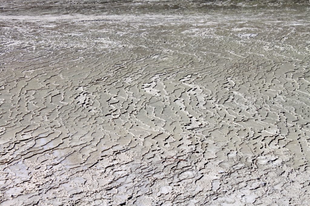 6193265569 24864595db o 1024x683 - Wai O Tapu Thermal Wonderland