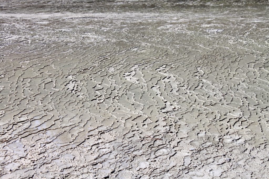 6193265569 24864595db o 1024x683 - Wai O Tapu Thermal Wonderland