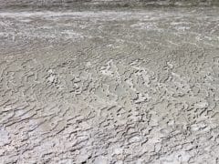 6193265569 24864595db o 240x180 - Wai O Tapu Thermal Wonderland