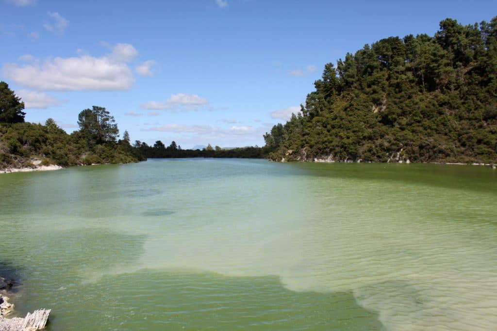 6193268173 8b14e8b673 o 1024x683 - Wai O Tapu Thermal Wonderland