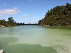 6193268173 8b14e8b673 o 240x180 - Wai O Tapu Thermal Wonderland