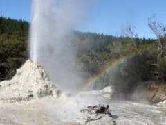 6193764138 53b017270e o 240x180 - Wai O Tapu Thermal Wonderland