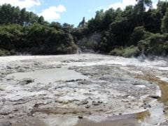 6193786906 29c493a4e4 o 240x180 - Wai O Tapu Thermal Wonderland