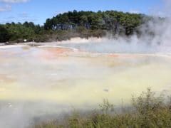 6193797122 0e3090641f o 240x180 - Wai O Tapu Thermal Wonderland