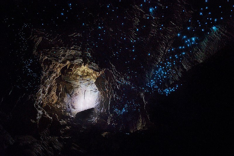 800px Waitomo Cave 1 - Waitomo Caves - Ruakuri