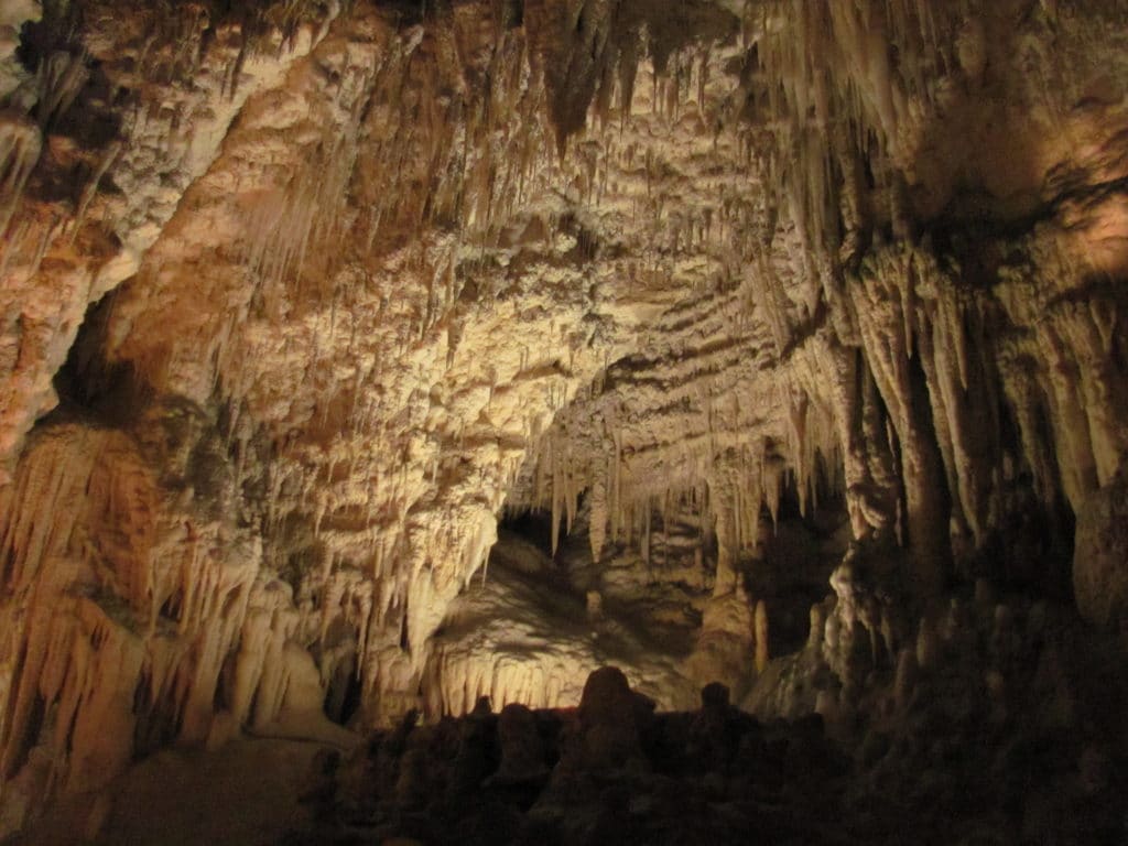 8352127519 16416d006a o 1024x768 - Waitomo Caves - Ruakuri