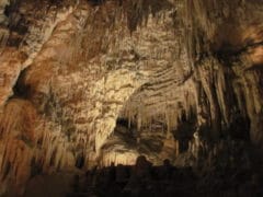 8352127519 16416d006a o 240x180 - Waitomo Caves - Ruakuri