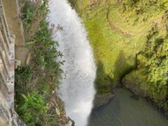 Bridal Veil Falls 05 240x180 - Bridal Veil Falls (Wairēinga Falls)