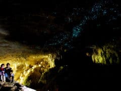 Green Glow Caves in New Zealand 6563152219 1 240x180 - Waitomo Caves - Ruakuri