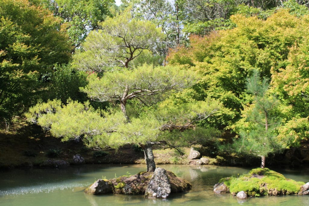 IMG 7708 1024x683 - Hamilton Gardens