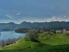 Overlooking Lake Okareka 240x180 - Lake Okareka Walkway