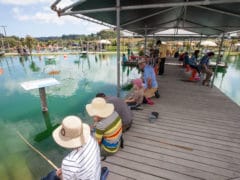 People fish for prawns on a bridge at Huka Prawn Park 240x180 - Huka Pawn Park