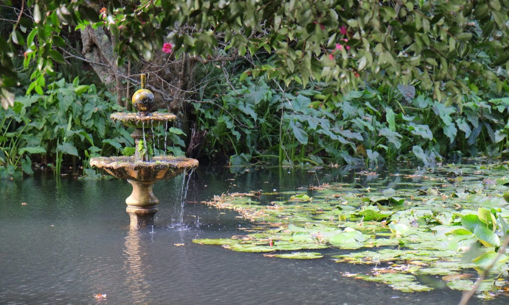 Small fountain in pond at Katikati Bird Gardens 1024x615 - Katikati Bird Gardens