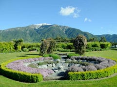 circleofthym DSC8331 240x180 - Lavendyl Lavender Farm