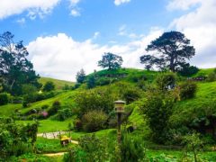 new zealand hobbiton movie set fantasy hobbiton 240x180 - Hobbiton Tours