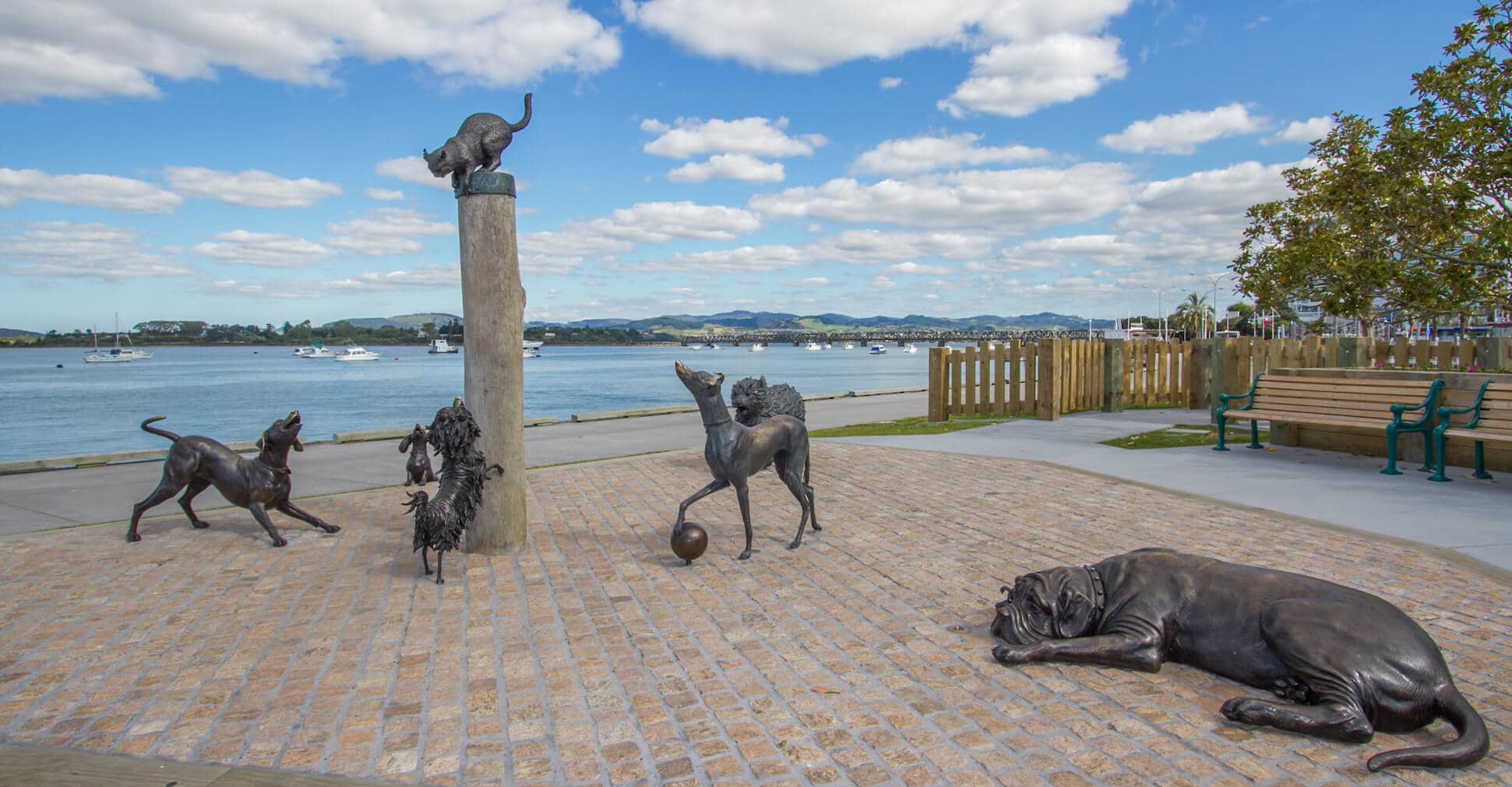Hairy Maclary And Friends Sculpture Park Freedom Mobility Ltd