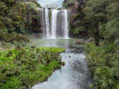 Falls 01 240x180 - Whangarei Falls