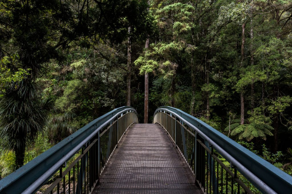 Falls 02 1024x683 - Whangarei Falls