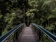 Falls 02 240x180 - Whangarei Falls