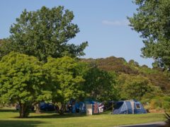 Flaxmill 03 240x180 - Flaxmill Campground and Accommodation