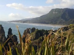 Punakaika 02 240x180 - Punakaika Pancake Rocks