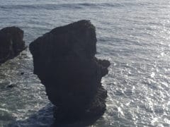 Punakaika 03 240x180 - Punakaika Pancake Rocks