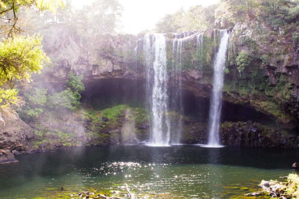 Rainbow Falls 02 1024x683 - Rainbow Falls (Waianiwaniwa)