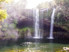 Rainbow Falls 02 240x180 - Rainbow Falls (Waianiwaniwa)