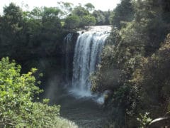 Rainbow Falls 240x180 - Rainbow Falls (Waianiwaniwa)