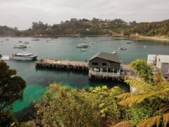 SIE Vol9 2 240x180 - Stewart Island Ferry