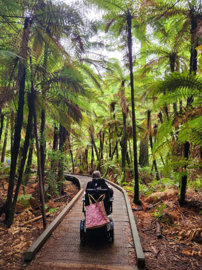 Explore Wheelchair Accessible Adventures in Rotorua