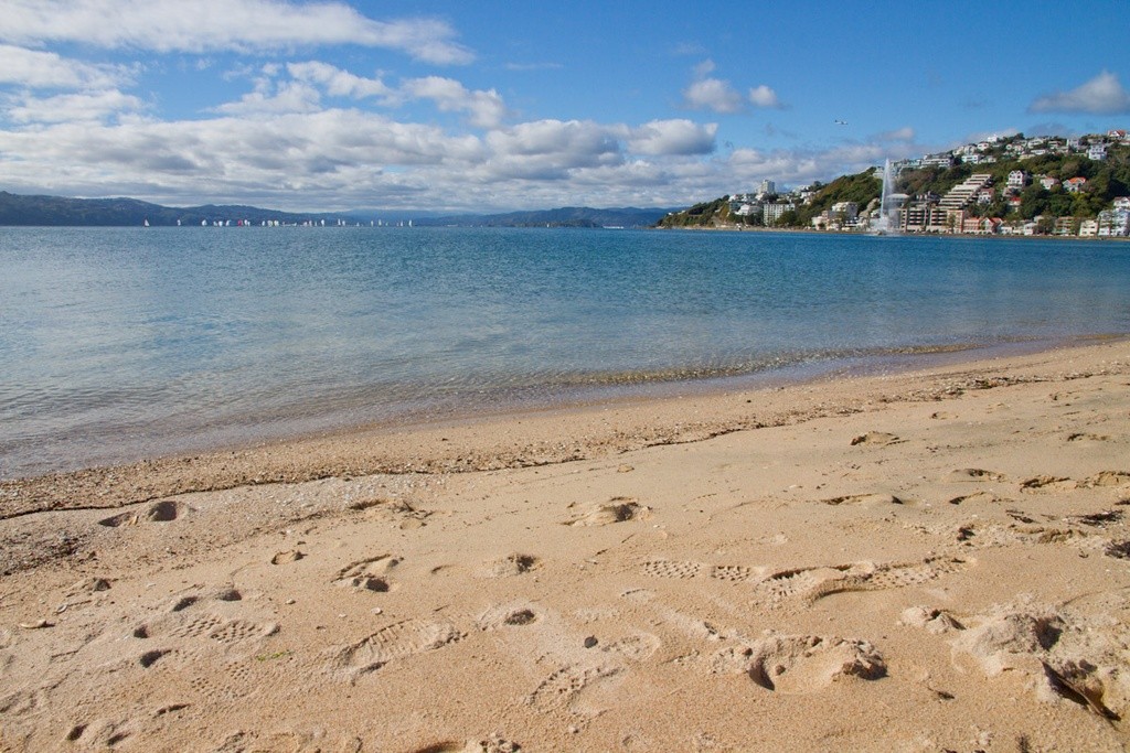 FreybergBeach - Freyberg Beach - Beach Wheelchair